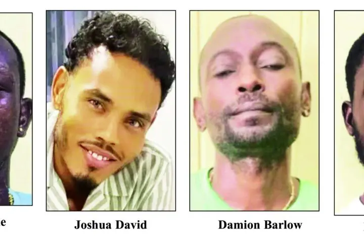 Four to lead defence in Joshua David kidnapping, two others discharged