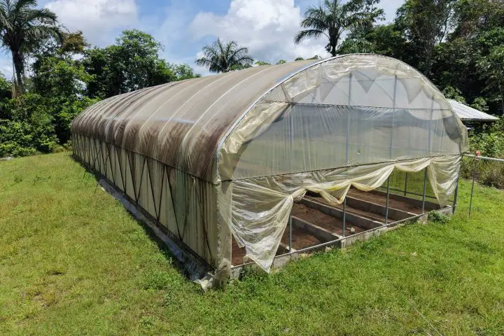 Questions raised about gov’t shade houses, APNU says two in Moruca abandoned