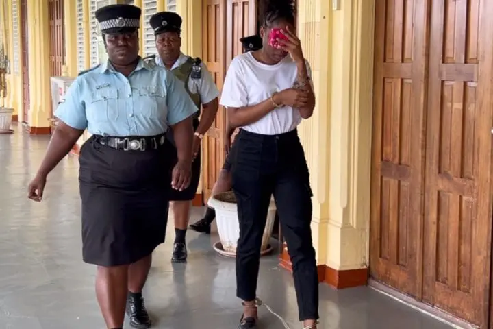 Woman gets 11 years over partner’s fiery death