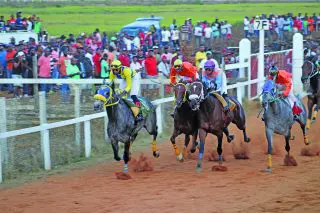 Emancipation Cup attracts more than 70 horses