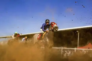 Dataman leads Horse of the Year nominees for 2025