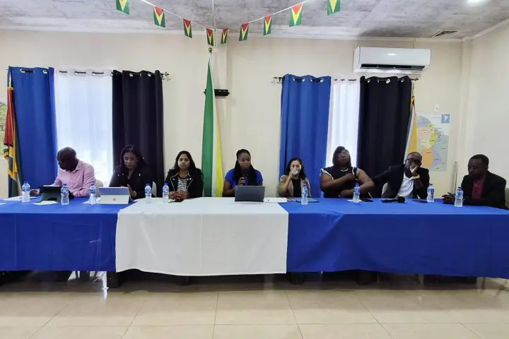 Foreign expertise needed for credible MV Barima inquiry – Walton-Desir
