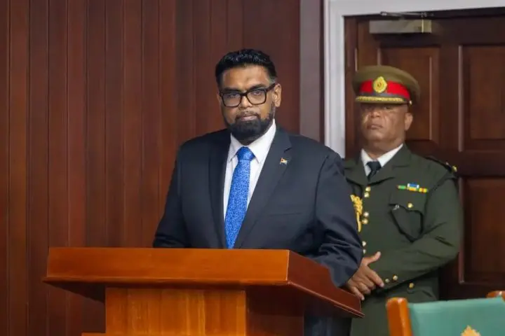 Joint development of Corentyne River bridge only proposal on table – Ali