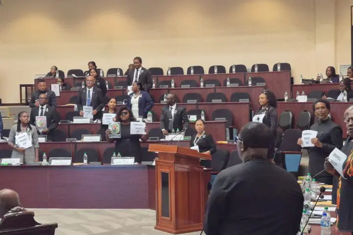 Opposition takes MV Barima protest to Parliament Chambers