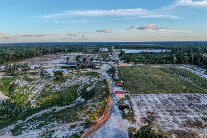 PNCR/APNU calls on President  to make full disclosure on farm