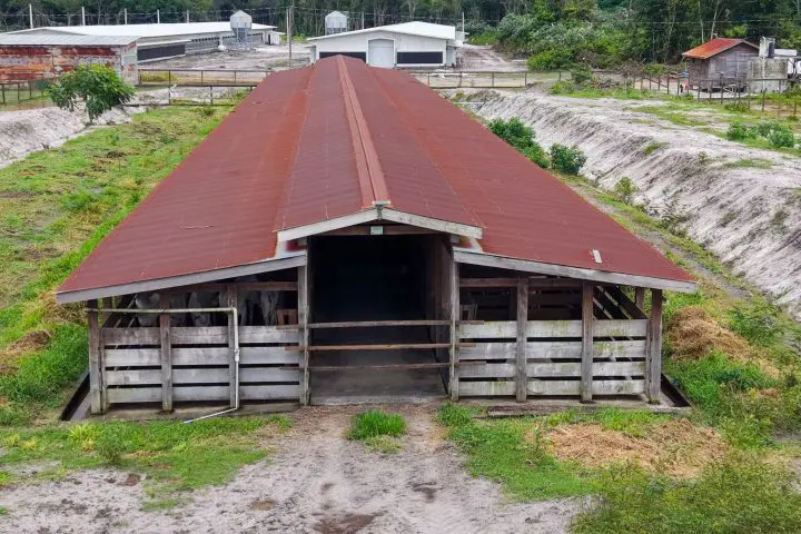 President defends farm, says financed by ‘huge’ loan