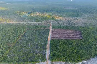 PNCR/APNU says 2015 probe of Ali’s Long Creek farm had raised serious questions