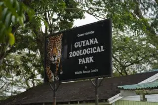 Zoo to close temporarily