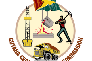 GGMC warns against ‘flipping’ of mining lands