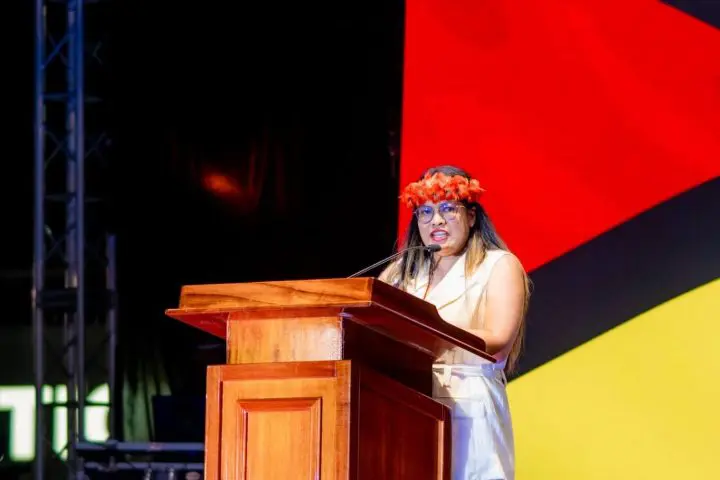 Construction of new Amerindian hostel to begin shortly—Browne
