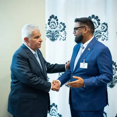 Ali, Panama president discuss bilateral ties