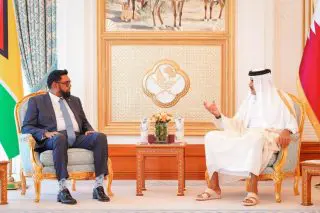 Ali, Qatar Amir discuss expanded investment ties