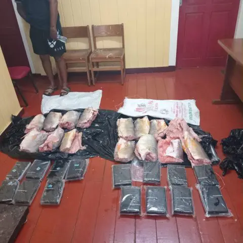 Suspected cocaine found concealed in frozen fish at Providence