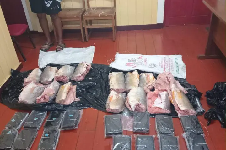 Suspected cocaine found concealed in frozen fish at Providence