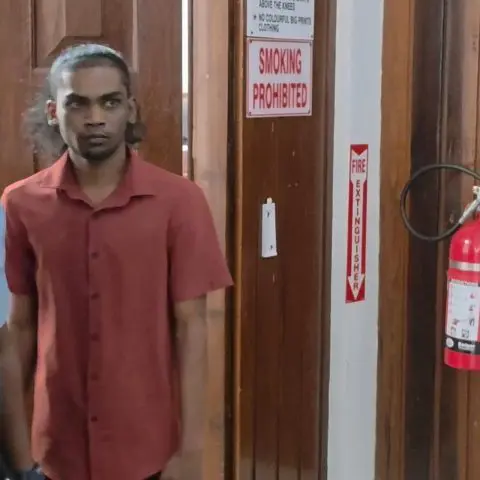 Prosecution witness pleads guilty to manslaughter in Henry cousins case