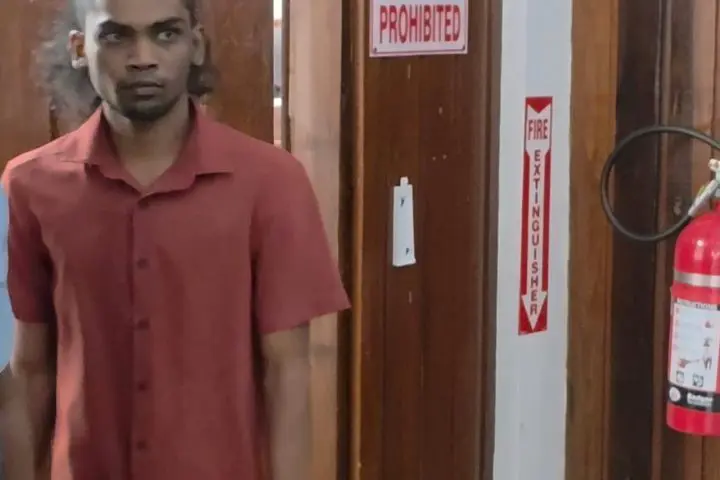 Prosecution witness pleads guilty to manslaughter in Henry cousins case