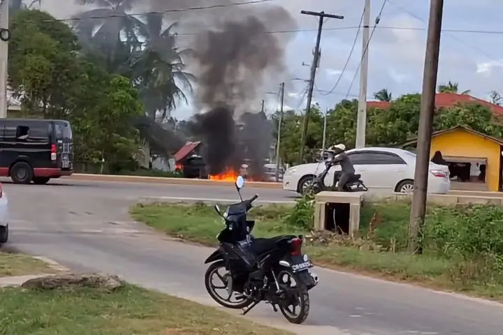 Truck set ablaze during Vigilance protest 