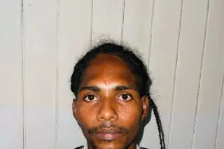 West Meten-Meer-Zorg labourer gets 24 months for break and enter and larceny