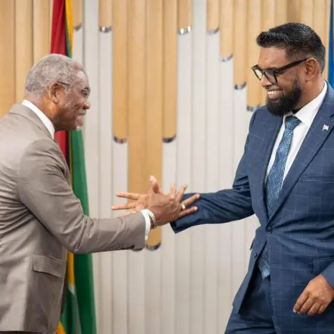 President discussed border case with US lawmakers