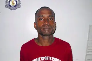 Lodge miner remanded on firearm, ammo charges
