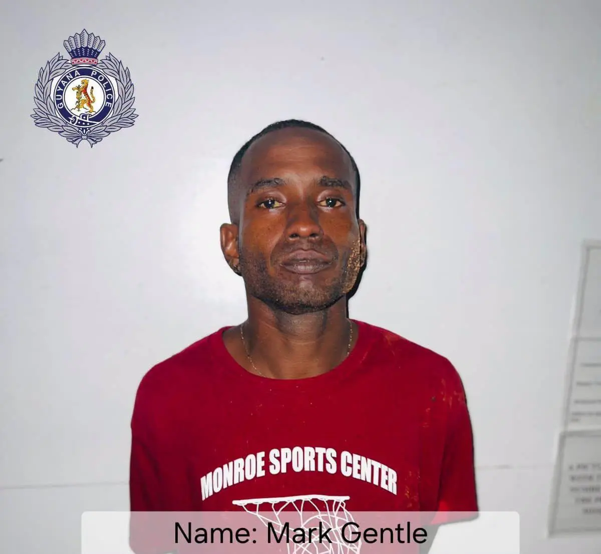 Lodge miner remanded on firearm, ammo charges