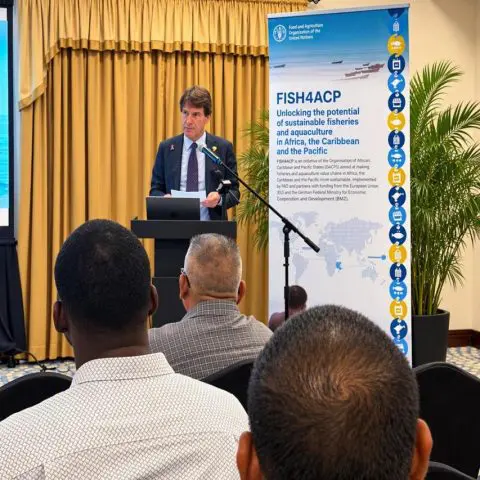 Partners pledge to sustain seabob work as FISH4ACP nears completion