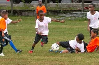Eight quarter-final spots up for grabs in Courts Optical Pee Wee