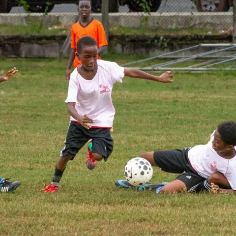 Eight quarter-final spots up for grabs in Courts Optical Pee Wee