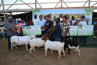 Mustapha touts breeding programmes at ruminant exhibition