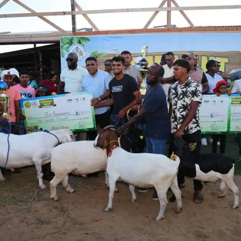 Mustapha touts breeding programmes at ruminant exhibition