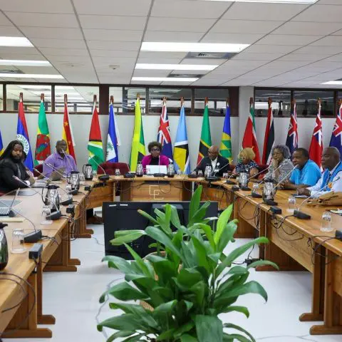 Guyanese retired persons raise abuse, healthcare concerns with CARICOM