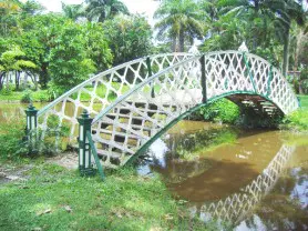 Botanical Gardens to close temporarily from October 12