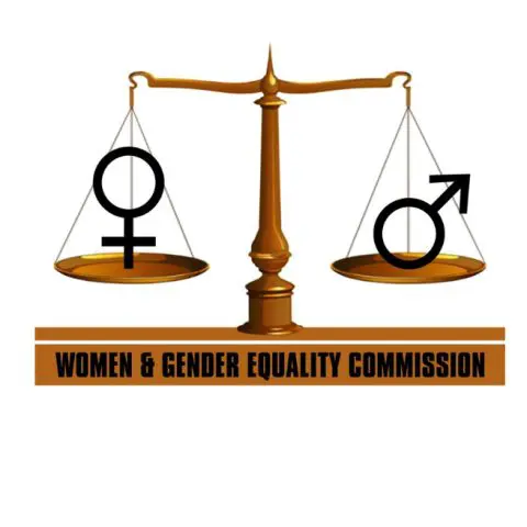 Gender equality commission questions police response to sexual  allegations against senior cop
