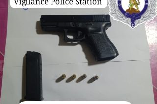 The gun and ammunition found