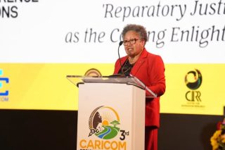 Reparations must transform lives, not merely acknowledge past wrongs – Barnett