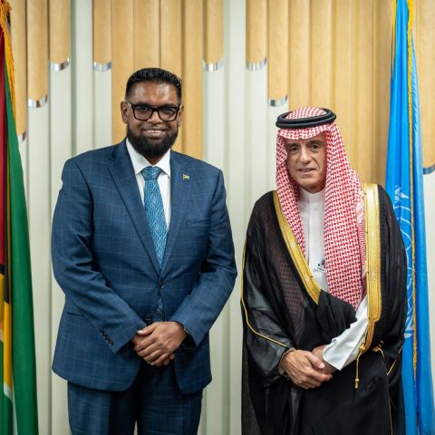 President, Saudi Foreign Minister discuss investment cooperation in New York