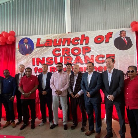 Over 2,000 farmers benefited from crop insurance – mid-year report