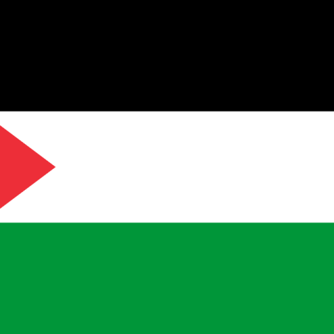 Ali renews support for Palestinian statehood, two-state settlement