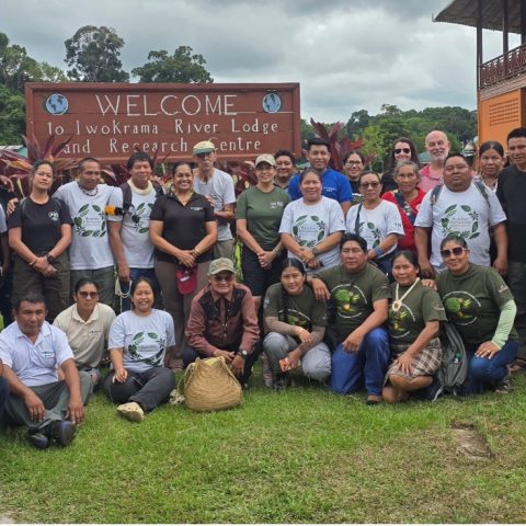 Regional Traditional Knowledge and Healers Network established