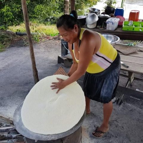 APA says secure land rights essential to Indigenous food security