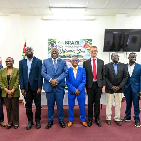 Phillips urges new Brazil chamber to convert opportunities into investment