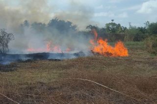Grass fire at Liliendaal sends heavy smoke towards homes