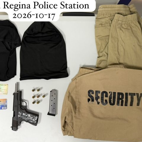 Two arrested after contractor robbed at Cottonfield