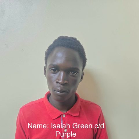 Linden teenager jailed for armed robbery, firearm offence at Lethem