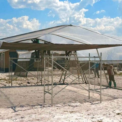 Benn visits Hyde Park project as shade houses target income for single mothers